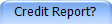 Credit Report?